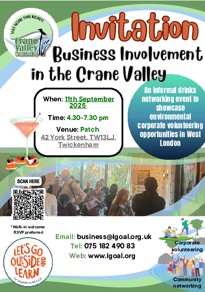 Project flier