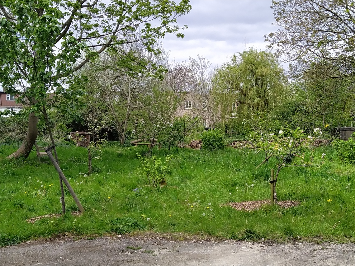 Volunteers Meadway orchard