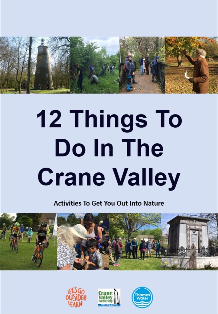 12 things front page