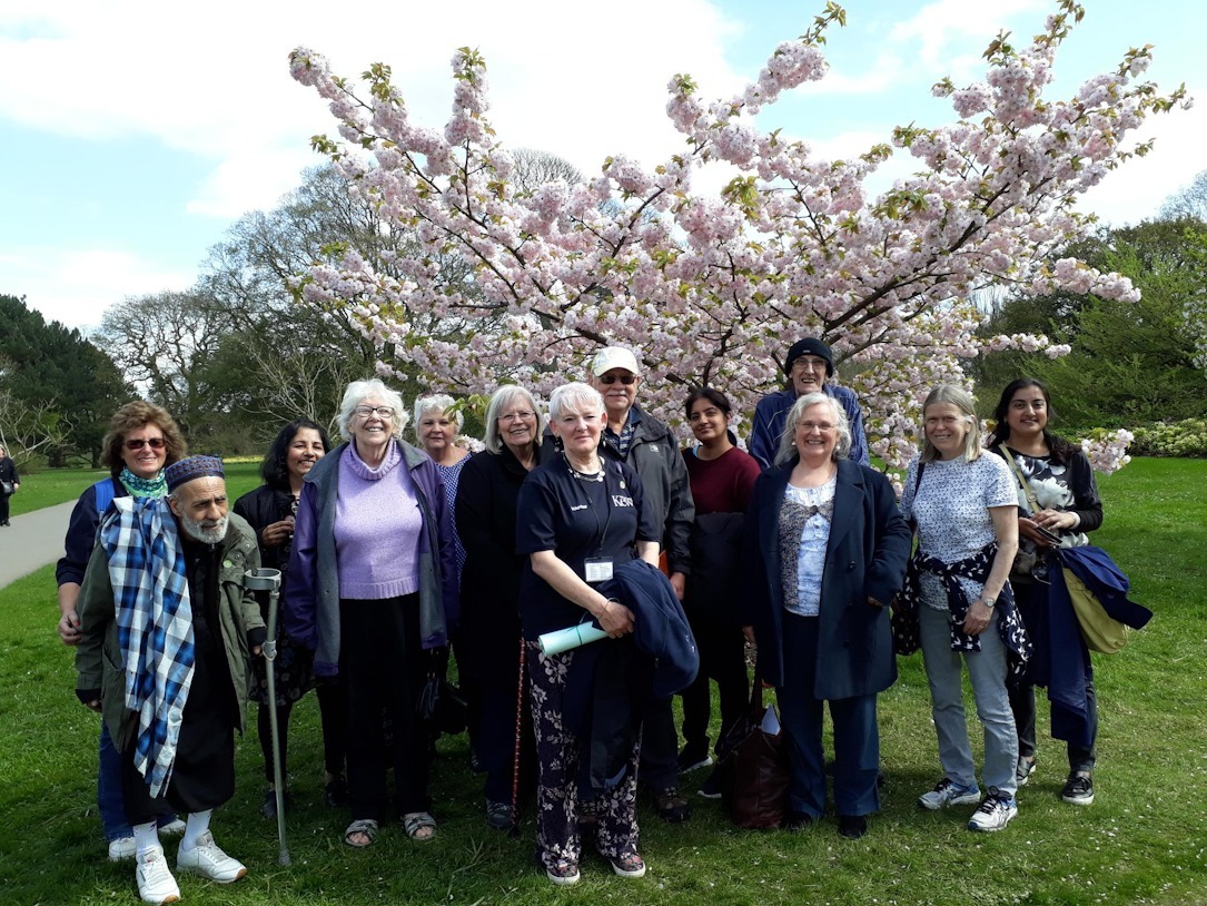 group outside near blossom tree