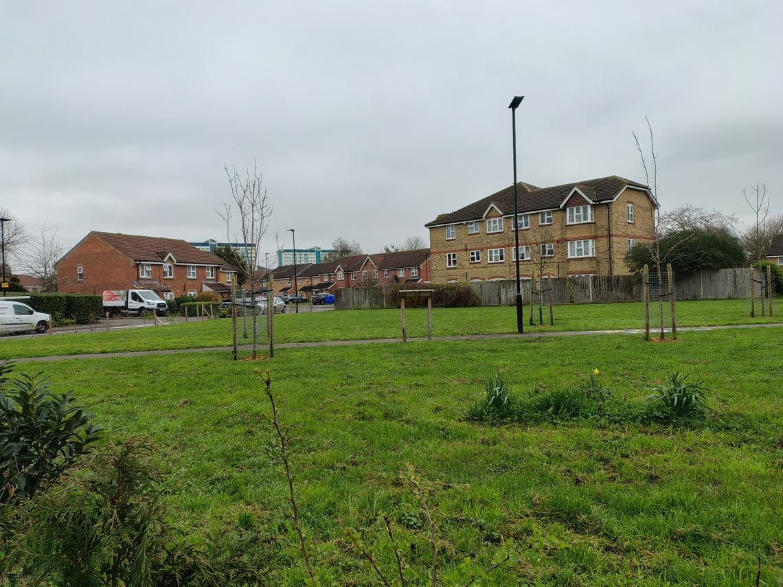 Site photo
