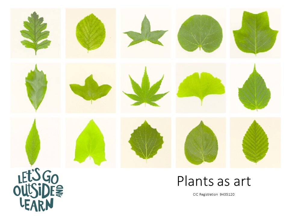 Poster for plants as art